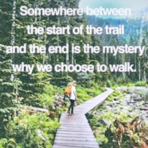 π» EUC COLUMBIA Interchange BLUE & MOSS πΏ SKI Jacket SZ M Calais Peak π» - Picture 14 of 14